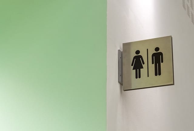 Come Funziona il Bagno Chimico