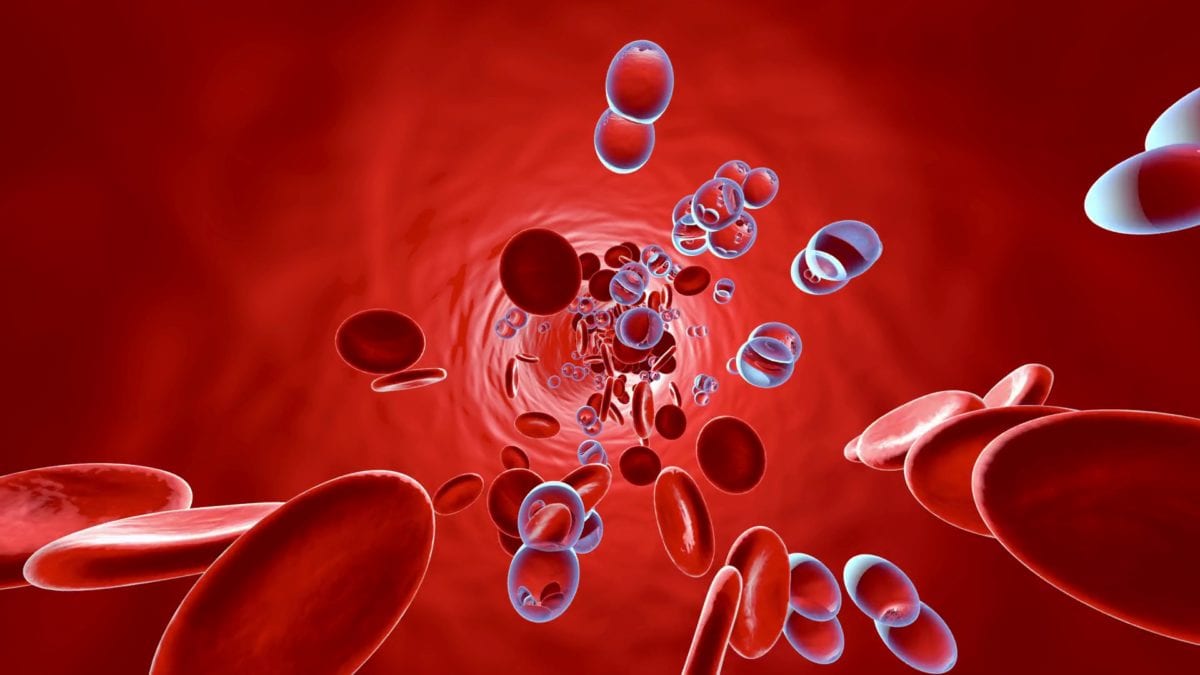 Cosa Significa Il Termine “Anossia”? 